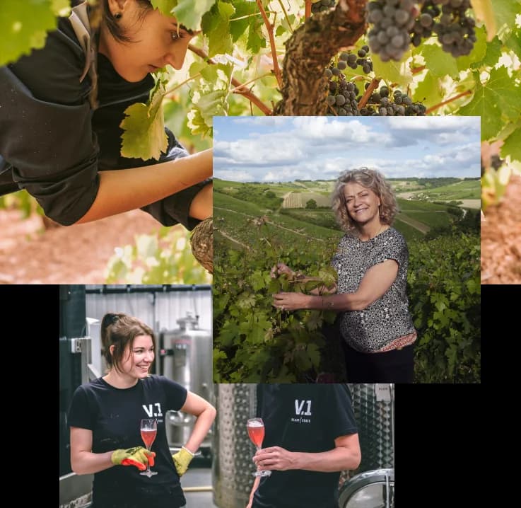 Producer collage