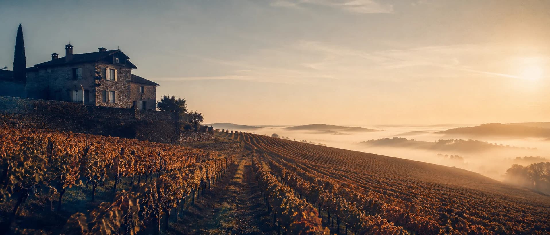 The Swedish wine market 2026, figures, trends, and what they mean