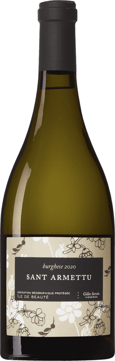 Burghese Blanc